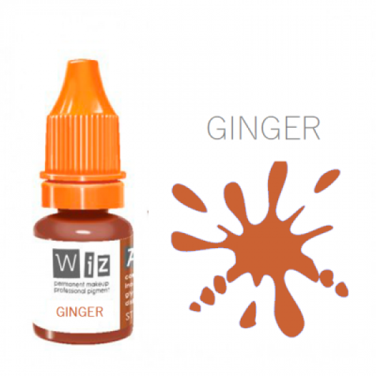 Пигмент для перманентного макияжа WizArt inorganic Ginger 5 мл